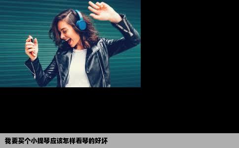 我要买个小提琴应该怎样看琴的好坏