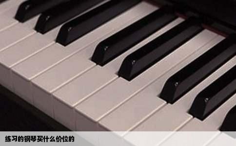 练习的钢琴买什么价位的