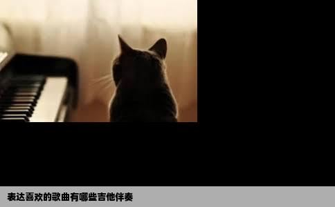 表达喜欢的歌曲有哪些吉他伴奏