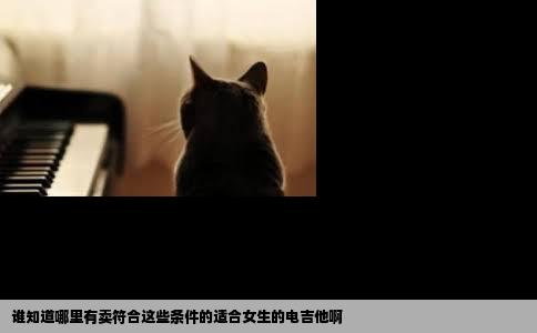 谁知道哪里有卖符合这些条件的适合女生的电吉他啊