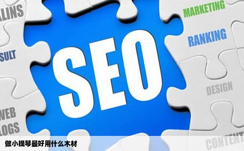 做小提琴最好用什么木材